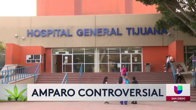 Ciudadanos de los Estados Unidos obtienen amparo de la justicia federal de México, para poder traer medicamentos de marihuana