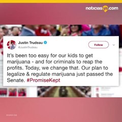 canada legaliza marihuana