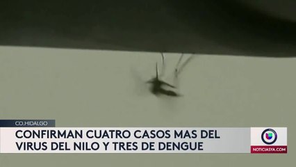 4 casos más del virus del Nilo Occidental y 3 de Dengue en co. Hidalgo