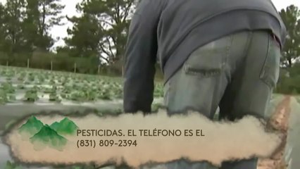 Noticias Costa Central 6pm 091720 - Clip