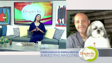 Despierta Orlando 072420 - Logan