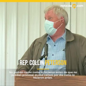 3 semanas para que no haya carne de cerdo en los supermercados