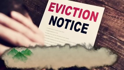Noticias Costa Central 11pm 090820 - Clip CENSO PATROCINIO CA EVICTIONS MORATORIUM