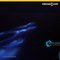 Delfines nadando en aguas bioluminiscencia en California