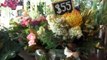 Concerns floral businesses are misleading customers