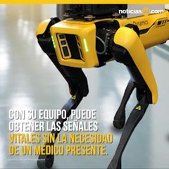 Perro robot “enfermero” llegó para proteger a los médicos del COVID-19