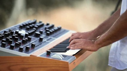 Hedonutopia - Ayyaş (Official Video) (4K)