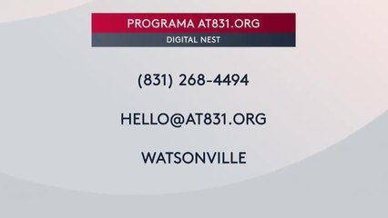 pequenos negocios inmigrantes