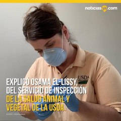 USDA identifica las misteriosas semillas enviadas por correo