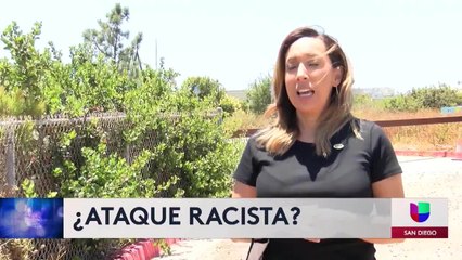 Investigan crimen de odio tras agresión durante manifestación pacífica en Imperial Beach