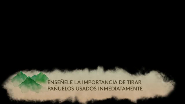 Noticias Costa Central 6pm 080620 - Clip