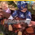 Capitán América envió mensaje a niño que salvó a su hermana de un perro