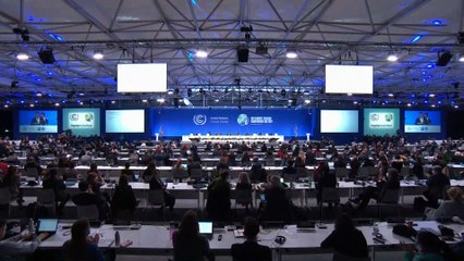 Aprobado el pacto del clima con una enmienda de última hora de la India