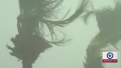 Rosal-PadreAfectado
