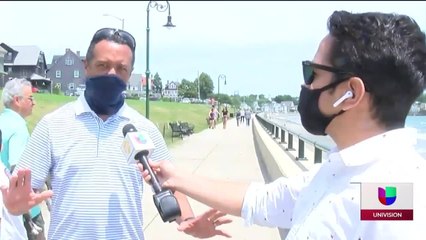 peligrosas medusas en playas de Lynn