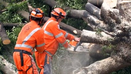 Parts of Victoria on flood watch as more rain expected