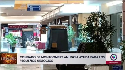 ayuda a negocios dmv