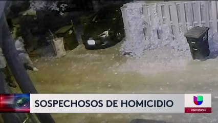 recompensa de 10 mil dólares