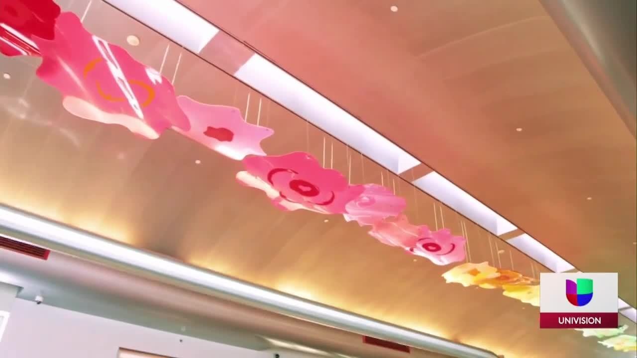 ARTE AEROPUERTO TEXAS