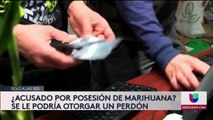 Fernando Renteria - Indulto Marijuana - Noticias Nevada 6pm 061120 - Clip