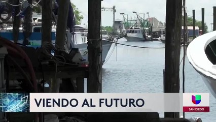 Alcaldes del condado de San Diego unen esfuerzos para re abrir la economía de la ciudad