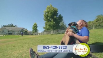 Despierta Orlando 062620 - Logan