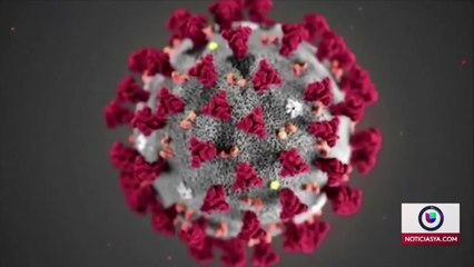 MINUTO A MINUTO: Casos de coronavirus en la Florida