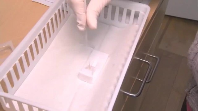 Despierta Orlando 051320 - DR MILLER