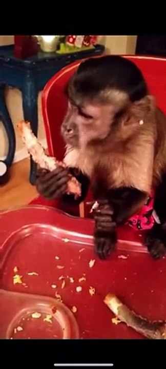 What’s for dinner tonight Mom said she’s tired of asking us (it doesn’t matter) and tired of thinking about it! Share your menu with us!!!...