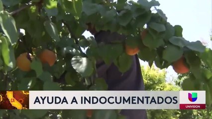 Ayuda a Indocumentados 04-15-20 Guillermo Mendez