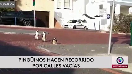 Buenas Nuevas