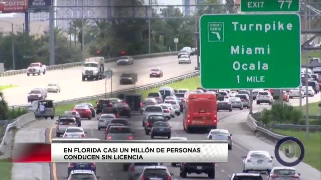 Proponen ley para que inmigrantes indocumentados tengan licencia en FL