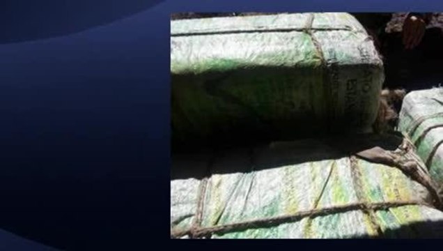 Border patrol seizes over $350,000 worth of narcotics