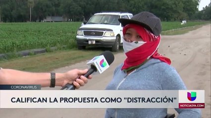 Trabajadores en el sector agrícola