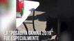 Perritos callejeros tienen posada navidea en Mxico