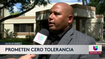 ¡Mano dura! Contra conductores que usen el teléfono al volante