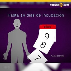 Cuantos dias la persona debe estar en cuarentena en caso de tener coronavirus