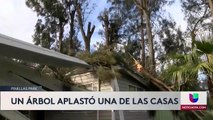 Noticias Tampa 6pm 020720 - Clip