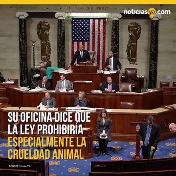 Ley PACT contra el maltrato animal