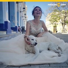 Perro callejero se coló en sesión de fotos de quinceañera