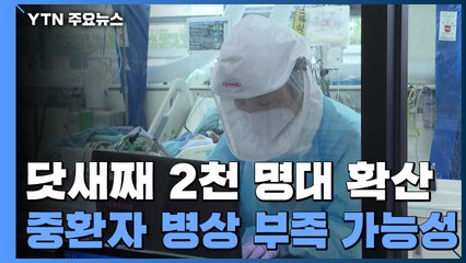 신규환자 2천4백 명대...위증증 환자 여전히 위험수위 / YTN