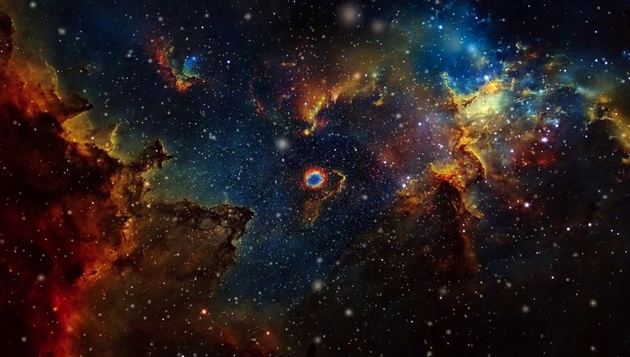 Cosmos - 29940