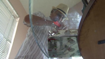 DESPIERTA AMERICA DON LEO PKG