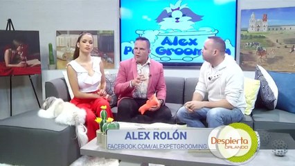 Despierta Orlando 022120 - 4