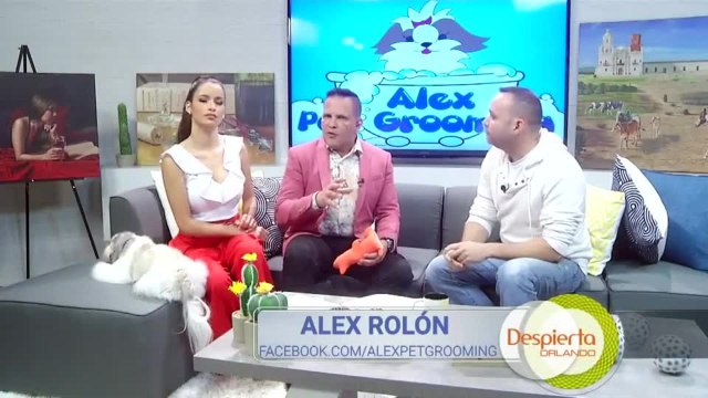 Despierta Orlando 022120 - 4