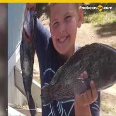 Pequeo salva tres vidas con sus rganos tras morir cazando