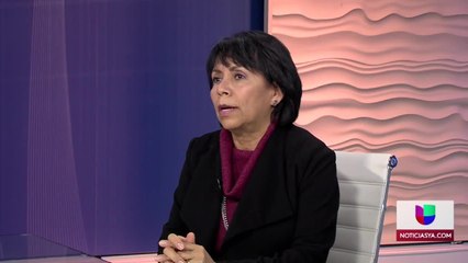 Programa de trabajo del consulado 2020 - Clip