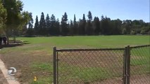 Gilroy park reopens after deadly Garlic Festival shooting - Story  KTVU - httpwww.ktvu.comnewsktvu-local-newsgilroy-park-reopens-after-deadly-garlic-festival-shooting (1)