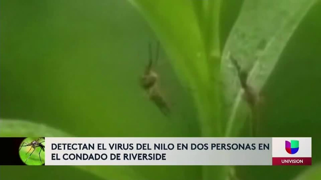 VIRUS DEL NILO