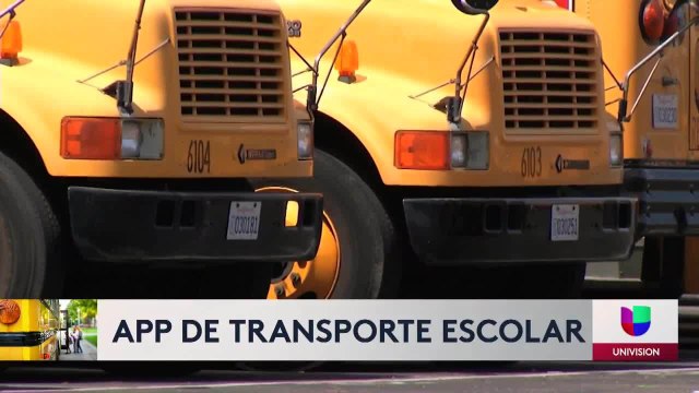 Distrito escolar lanza app para monitorear a estudiantes en transporte escolar 11PM